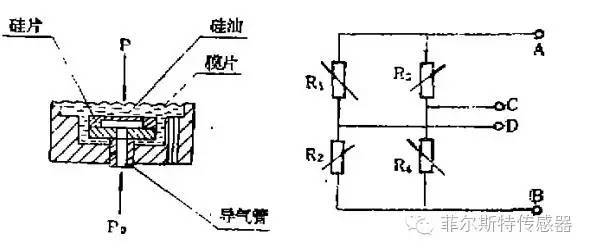 58844ee8551e6