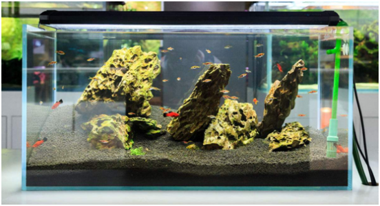 自動(dòng)換水魚(yú)缸里會(huì)使用什么傳感器？