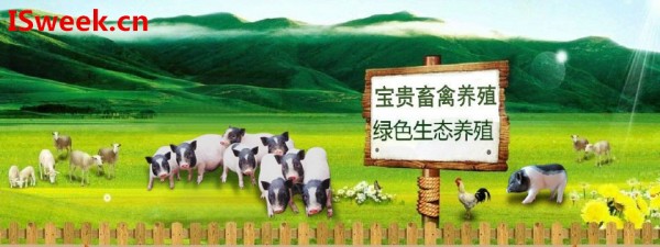 應(yīng)用在畜禽養(yǎng)殖廢水處理系統(tǒng)中的水質(zhì)傳感器