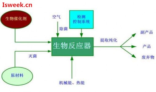 發(fā)酵過(guò)程中影響微生物生理代謝的溶解氧