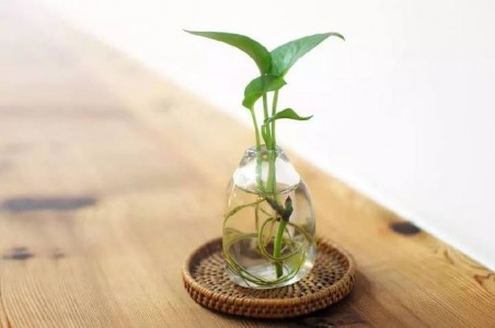 關(guān)于植物生長(zhǎng)環(huán)境中空氣流量測(cè)量方法詳解