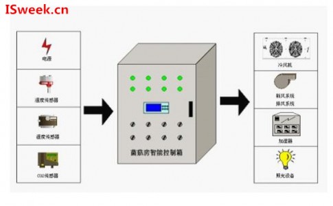 菌菇房環(huán)境監(jiān)測(cè)中的溫濕度傳感器技術(shù)運(yùn)用