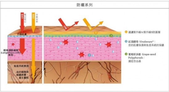 夏日炎炎，謹(jǐn)防紫外線(xiàn)，用于檢測(cè)太陽(yáng)紫外指數(shù)的紫外線(xiàn)傳感器