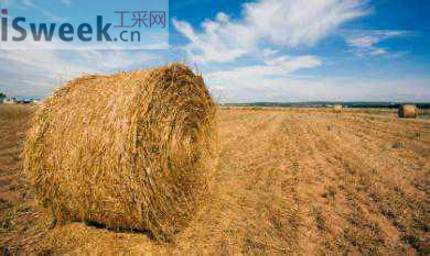 在生物質(zhì)鍋爐中煙氣分析儀應(yīng)用到的氣體傳感器