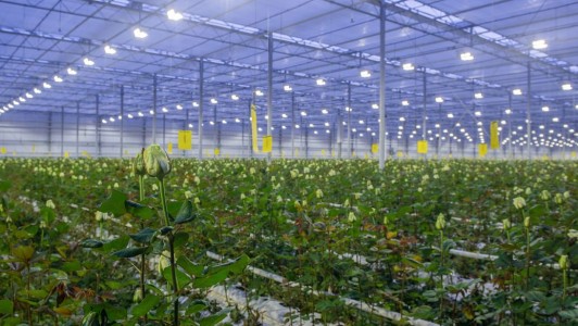 二氧化碳傳感器發(fā)展背景_不同應(yīng)用領(lǐng)域CO2傳感器如何選型