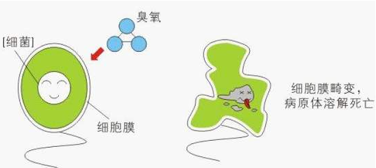 臭氧傳感器3SP_O3_20在臭氧消毒殺菌中的應(yīng)用