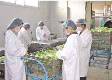 食品加工廠中甲烷傳感器和二氧化碳傳感器的應(yīng)用