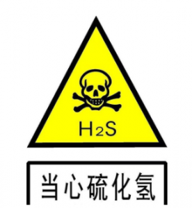 硫化氫傳感器用于工業(yè)生產(chǎn)中硫化氫濃度檢測(cè)