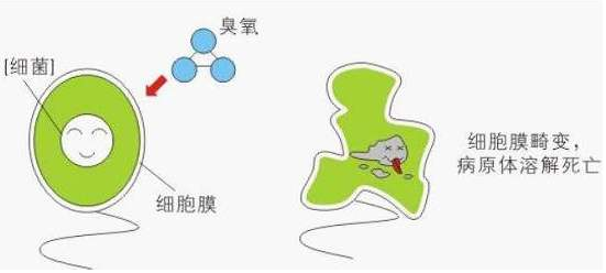 臭氧模擬輸出模塊ULPSM-O3用于臭氧發(fā)生器O3濃度檢測(cè)