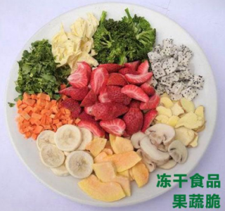 熱導(dǎo)傳感器用于真空凍干機(jī)工作中壓力監(jiān)控