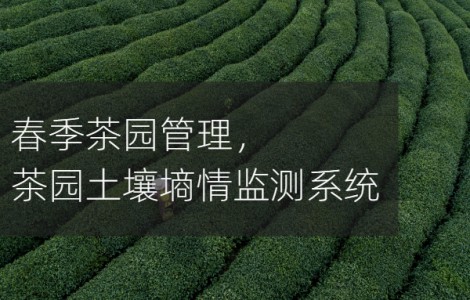 茶樹變身“脫貧樹”，春季茶園管理，茶園土壤墑情監(jiān)測(cè)系統(tǒng)