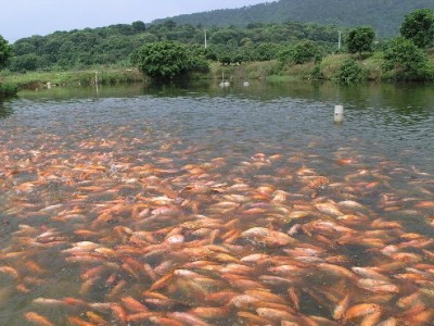 水產(chǎn)養(yǎng)殖水質(zhì)常規(guī)檢測(cè)的傳感器有哪些？