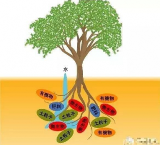 CO2傳感器用于微生物降解實(shí)驗(yàn)中CO2濃度檢測(cè)