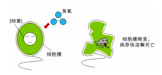 選擇臭氧傳感器值得注意的細(xì)節(jié)