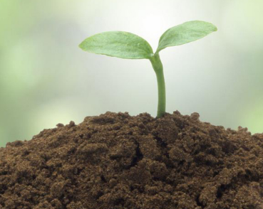 熱通量傳感器可以幫助檢測(cè)土壤熱通量分布情況