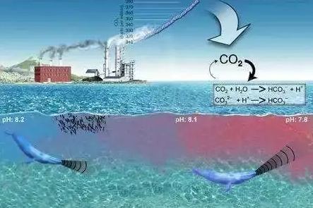 CO2傳感器NG2-A-1可用于測(cè)量海水溶解中的二氧化碳含量