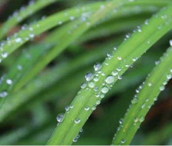 溫濕度檢測對預(yù)防變電站戶外設(shè)備凝露有重要作用