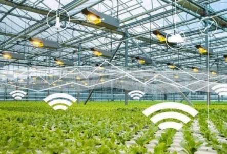 溫濕度傳感器、CO2傳感器和光電傳感器用于智能溫室大棚自動(dòng)控制系統(tǒng)中