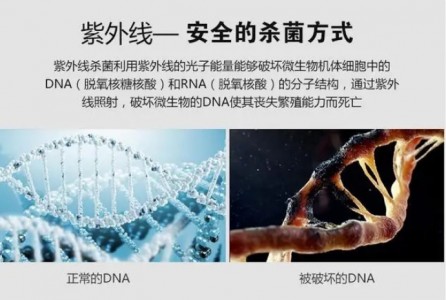 利用紫外線技術的紫外線消毒器有哪些優(yōu)勢？
