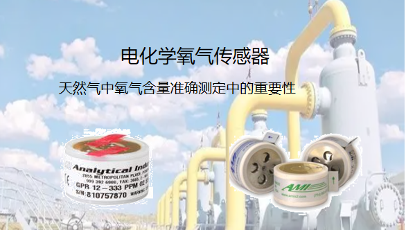 電化學(xué)氧氣傳感器在天然氣中氧氣含量準(zhǔn)確測定中的重要性